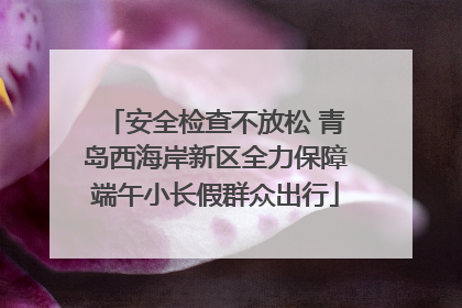 安全检查不放松 青岛西海岸新区全力保障端午小长假群众出行